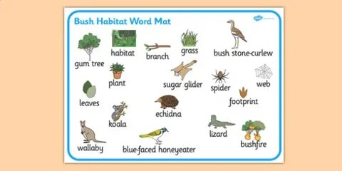 Word forest