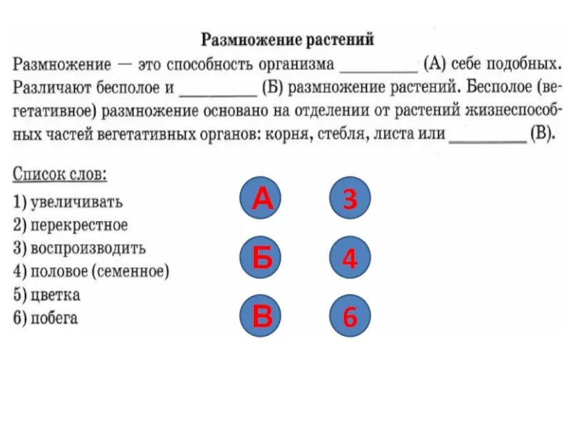 ВПР биология 6 класс. ВПР по биологии 6 ответы. Размножение растений 6 класс ВПР. Размножение растений 6 класс ВПР ответы.