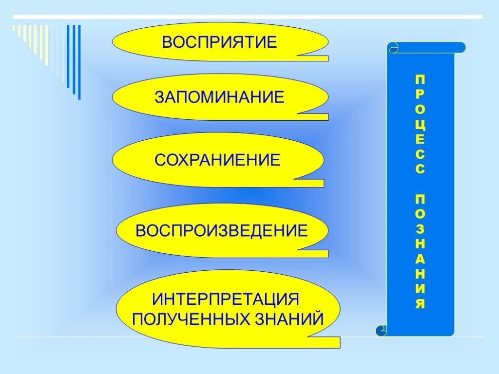 Память знание опыт. Восприятие запоминание. Запоминание и восприятие информации. Перцептивное запоминание. Восприятие запоминание вовлечение.