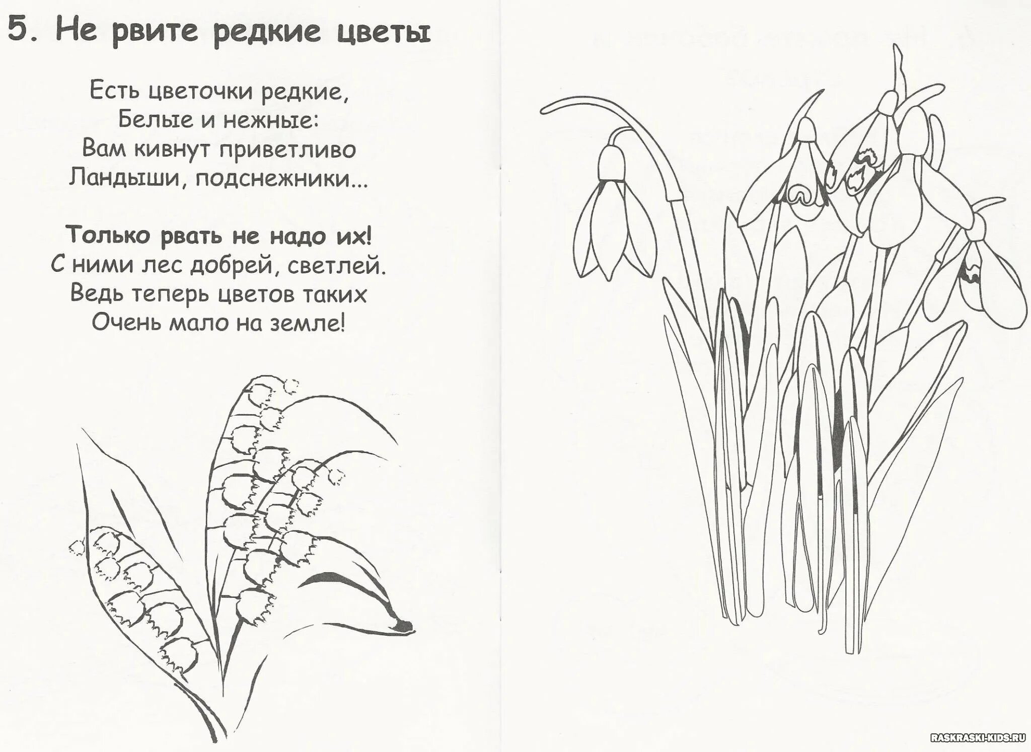 Берегите растения красной книги. Растения красной книги раскраска для детей. стишки про редкие растения. животные и растения красной книги раскраска. растения из красной книги.