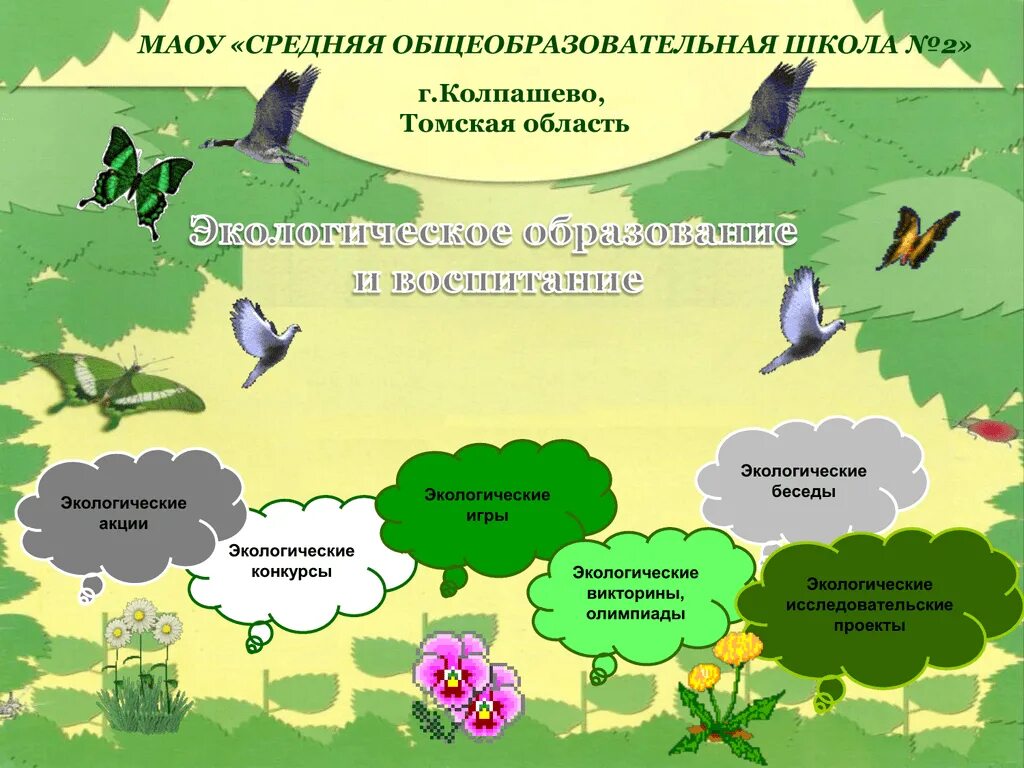 Экологические игры птицы. Экологические игры. экологические беседы. экологическое образование животные.