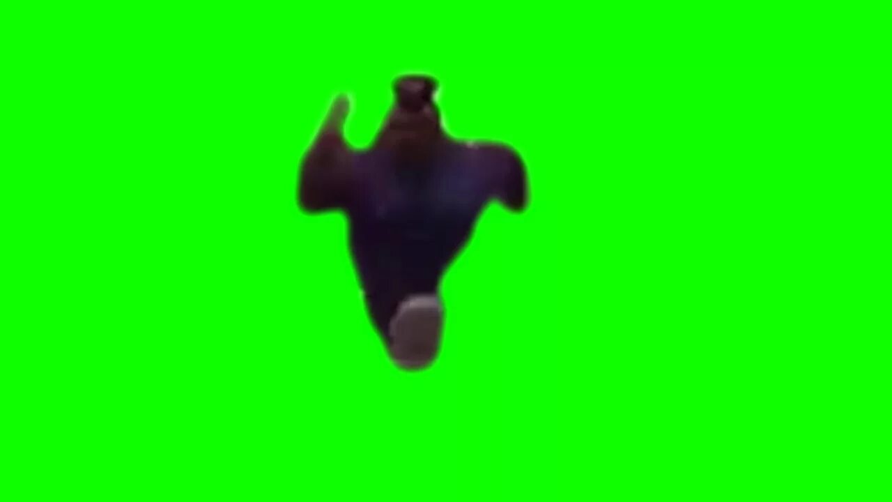 Кот хрустит хромакей