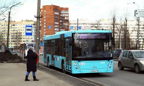 Автобус 203 спб