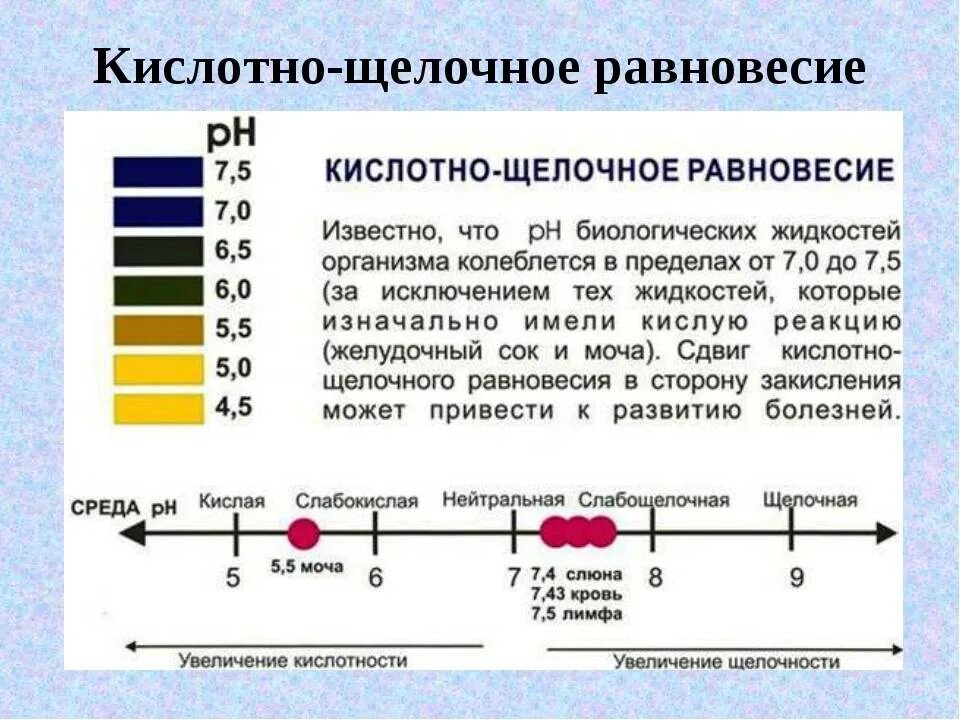 Какая кислотность мочи. PH кислотно щелочной баланс. Показатели кислотно щелочного баланса в моче. PH кислая щелочная нейтральная. PH мочи кислая и щелочная.