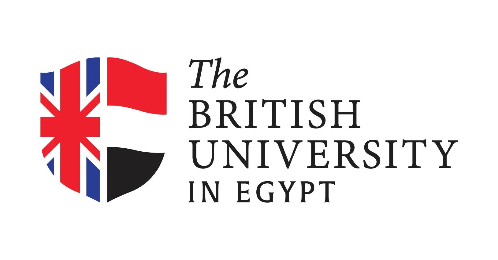 Российско английский университет. British Universities. University in Egypt. Universities британцев. Лондонский университет Южного берега.