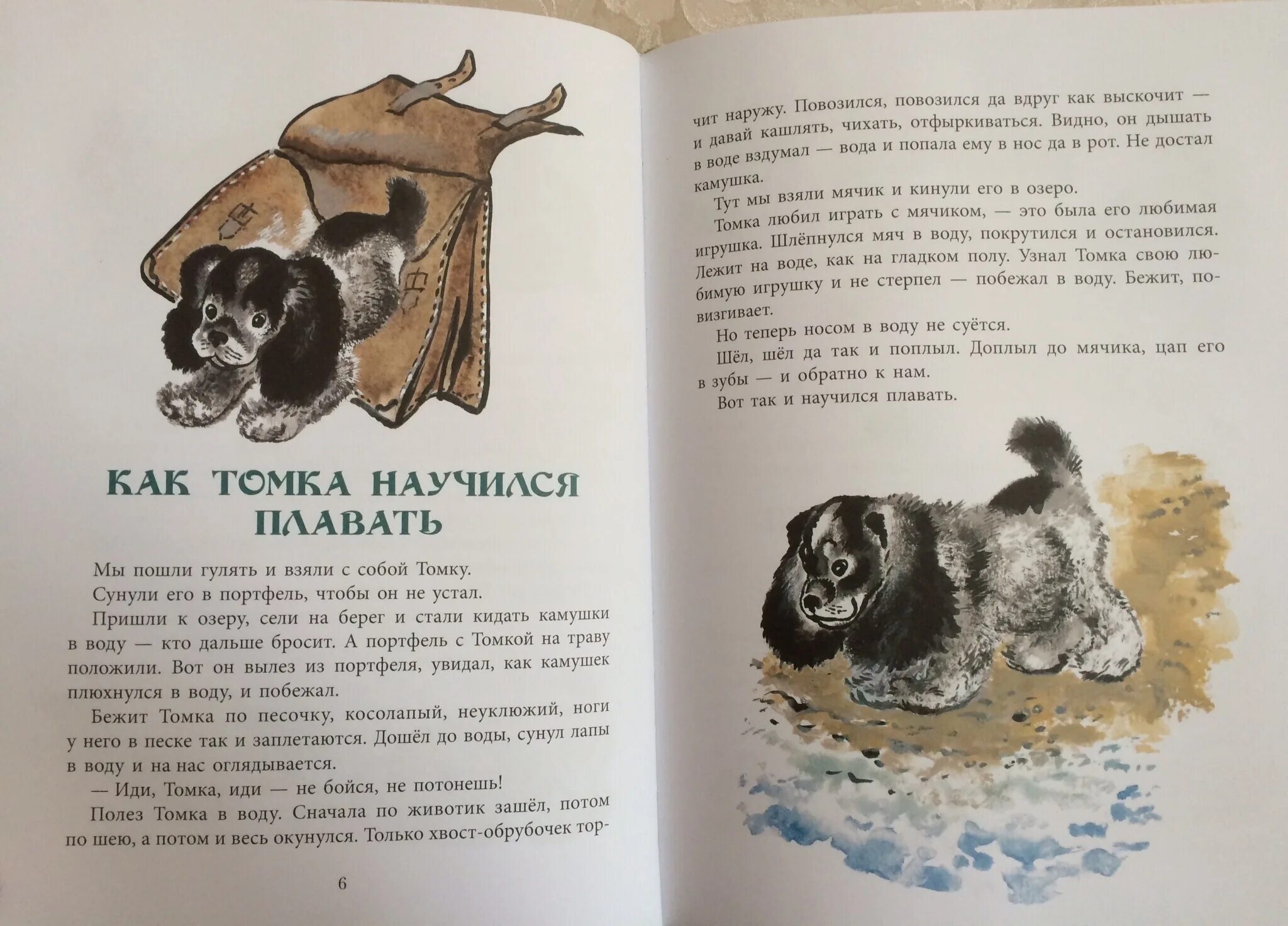 Чарушин Томкины сны. Иллюстрации к книге Чарушина про Томку.