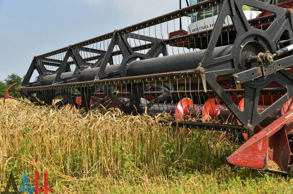 Сельхоз днр. Прикатывание озимой ржи. Сеялки для озимой ржи. Спк колхоз красногорский саракташского района. Посевная техника.