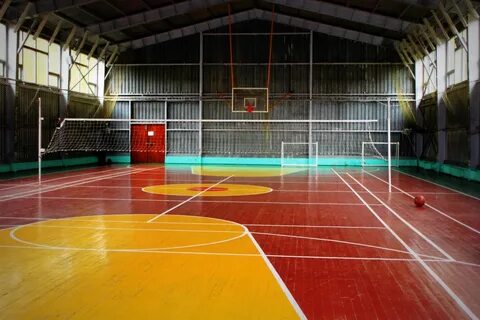 Ленинградская область спортивная