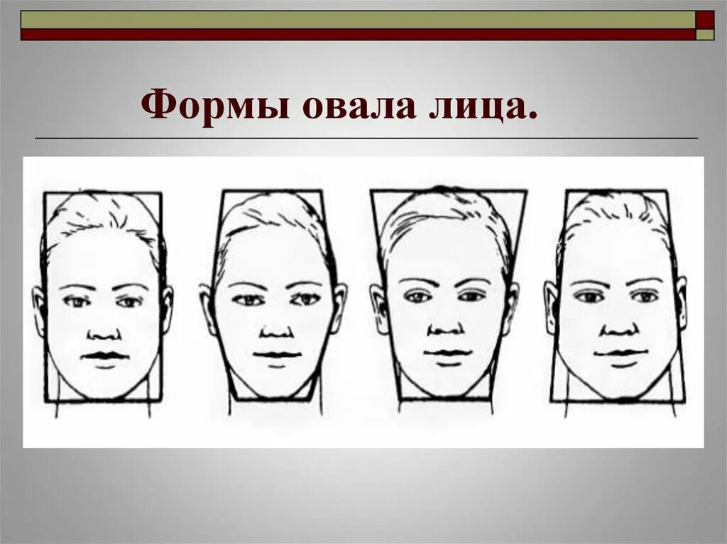 Пропорции лица 6. Формы лица изо. форма лица пропорции. форма головы и лица. основные формы головы человека.