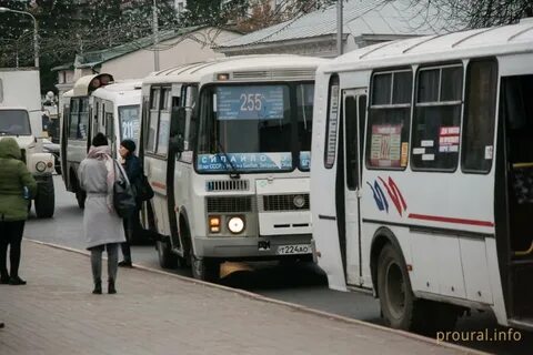 31 автобус уфа