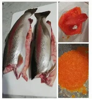 Вкусная ли форель