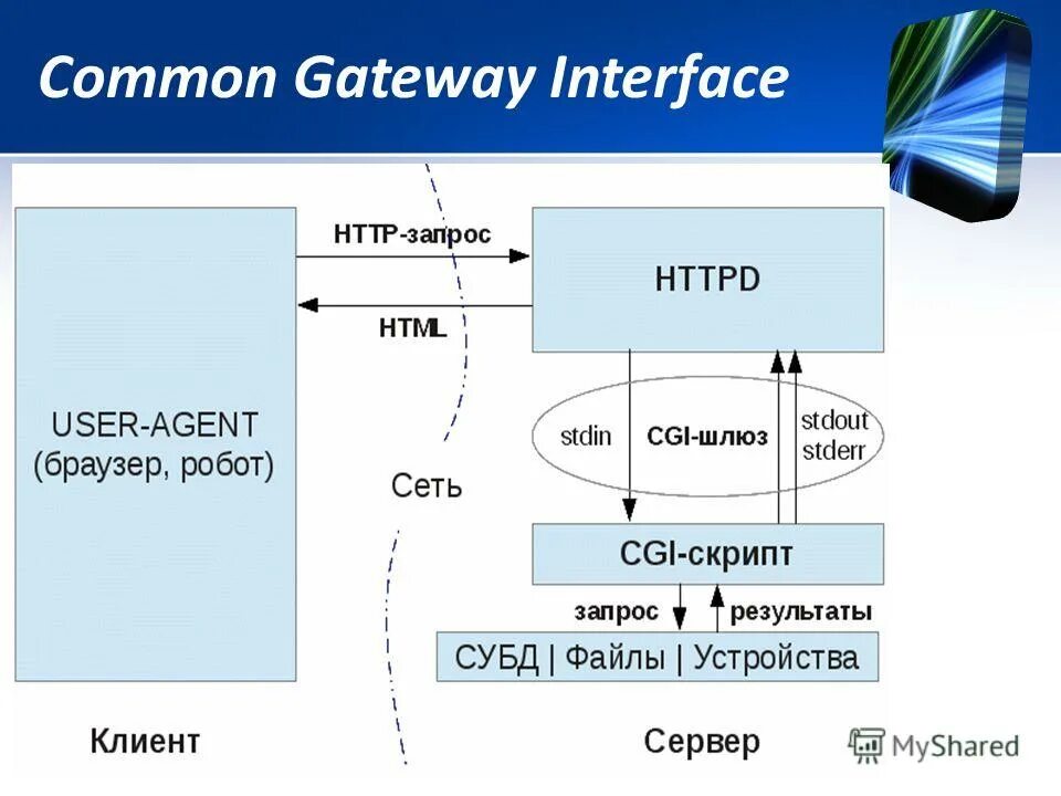 Cgi скрипты. Common Gateway interface. Cgi Интерфейс. Cgi скрипты что это. Gateway 5 класс.