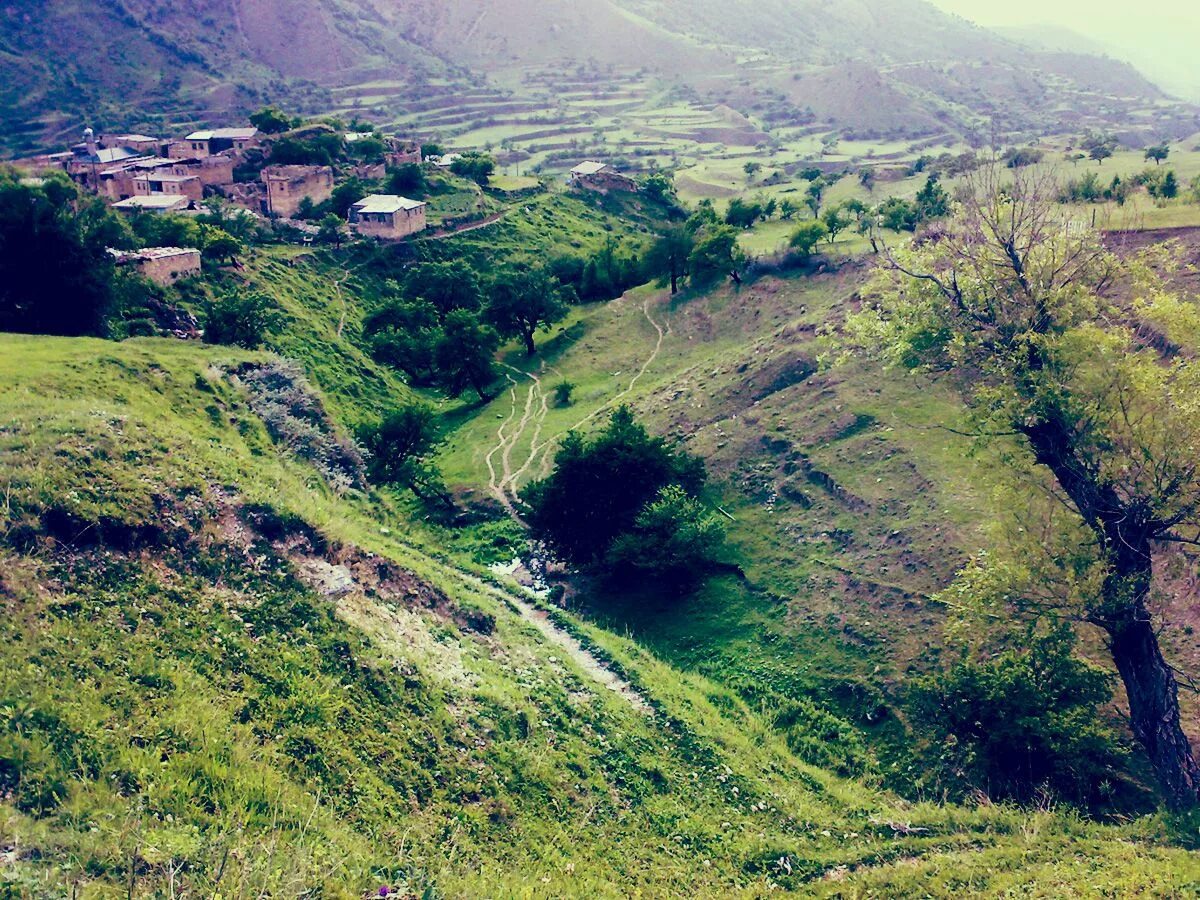 Цуликана Акушинский район. Село кули Кулинский район. Село кули Дагестан. Горы Дагестана кули.