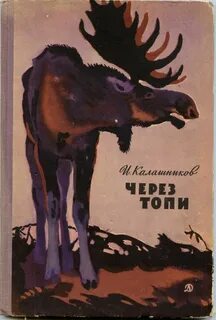 Через топи
