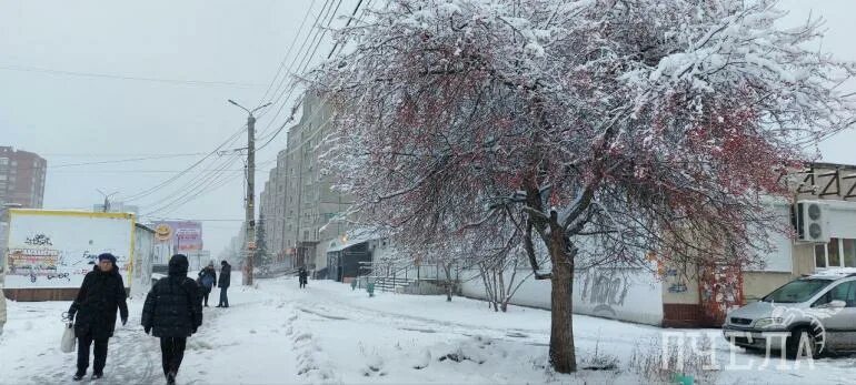 Убирают снег осенью. Мокрый снег осенью. Припорошило снегом. Запорошенный снегом забор.