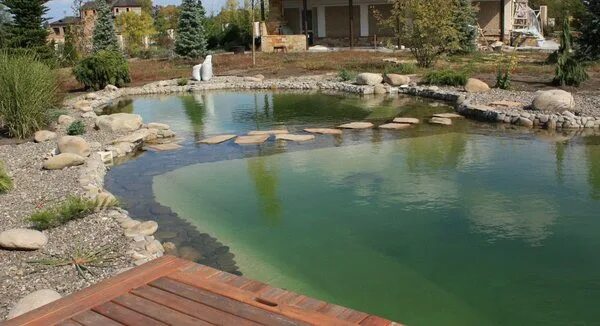 Пруд предложения. Река плавутка в добринке. Пруд предложение. О садово-парковые устройства с использованием воды. Пруд прут.