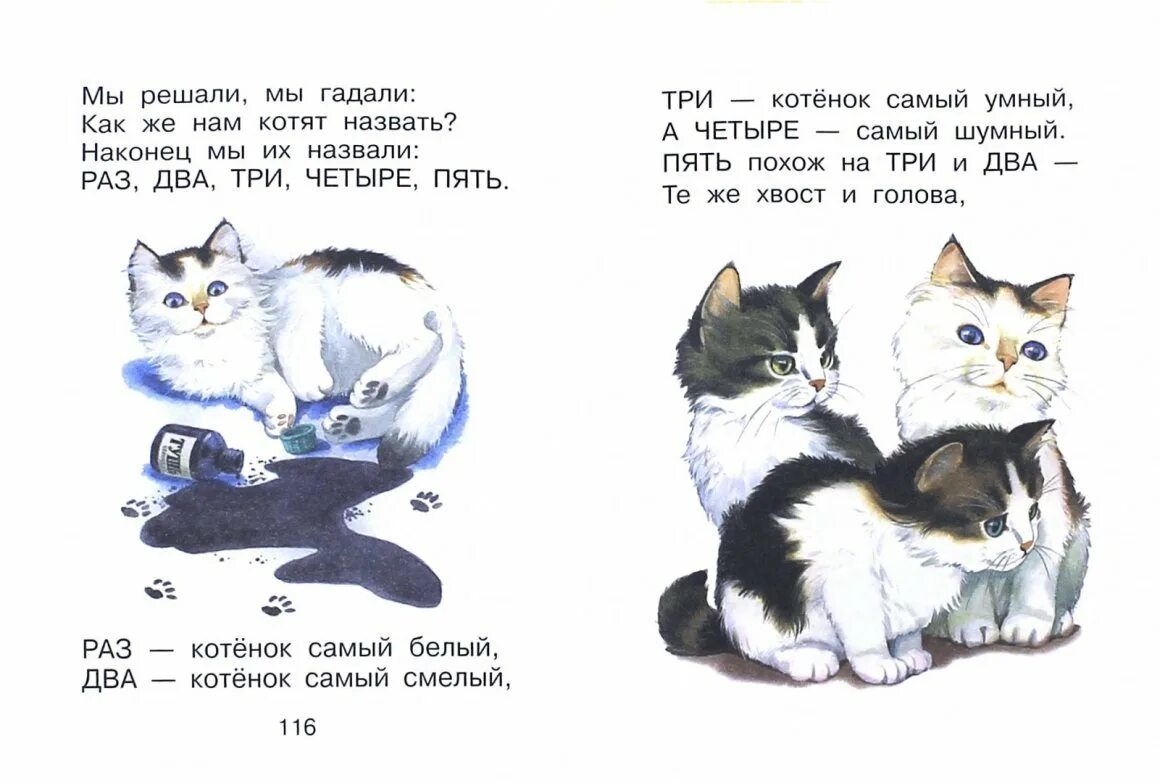 Стихотворение про котенка