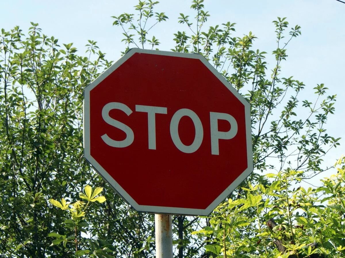 Знак stop. Дорожный знак стоп. Дорожный знак стоп российский. Знаки дорожного движения stop.