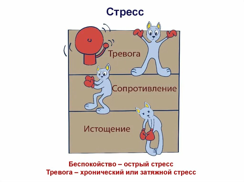 Котики две тревожности текст. Стресс изображение. Стресс и тревожность. Острый стресс. Стадии стресса.