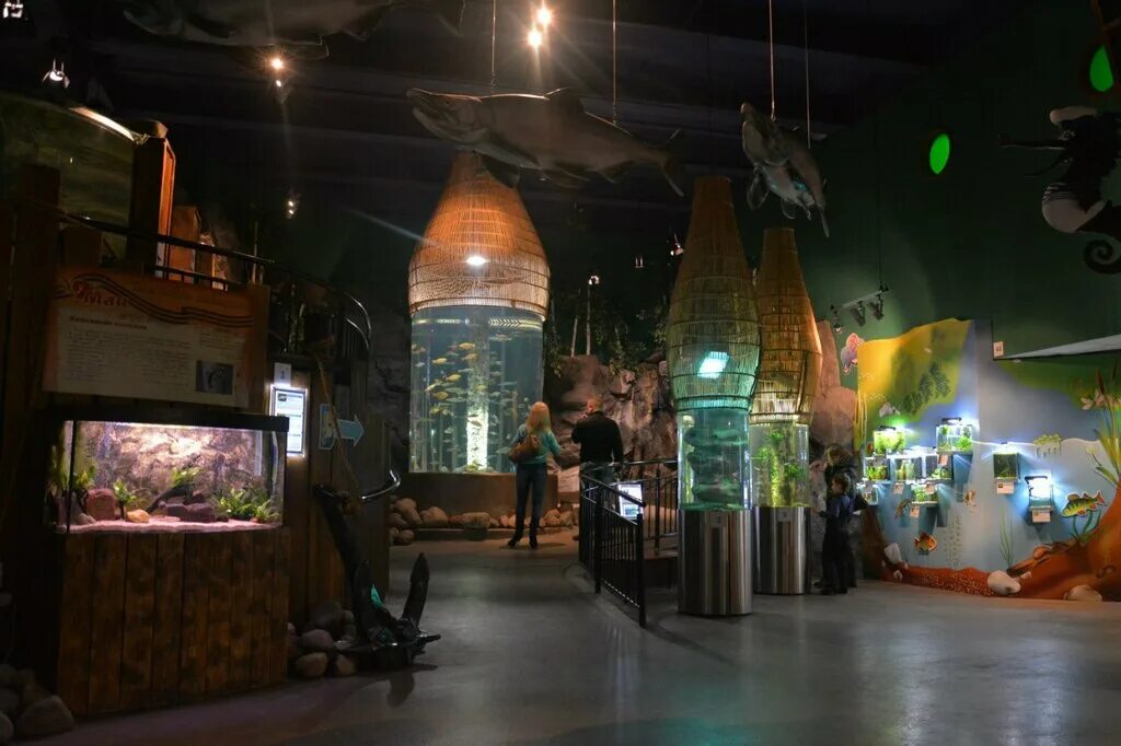 марата 86 санкт-петербург океанариум. санкт-петербургский океанариум, санкт-петербург. океанариум планета нептун. океанариум планета нептун санкт-петербург. улица марата 86 океанариум.