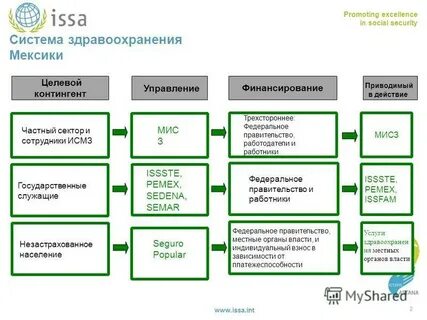 Структура мексики