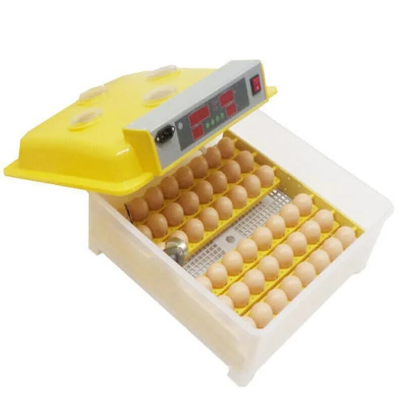 Автоматический инкубатор wq. Fully Automatic Egg incubator. Инкубатор 48eggзапчасти ТЭН. Инкубатор для яиц на 48 шт автоматический стационарный.