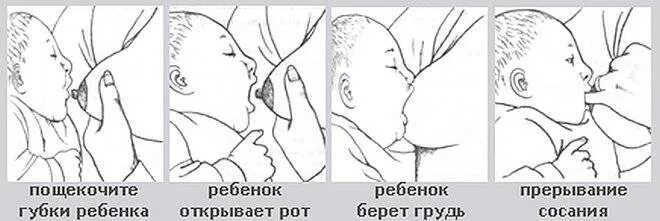 Как отобрать соску