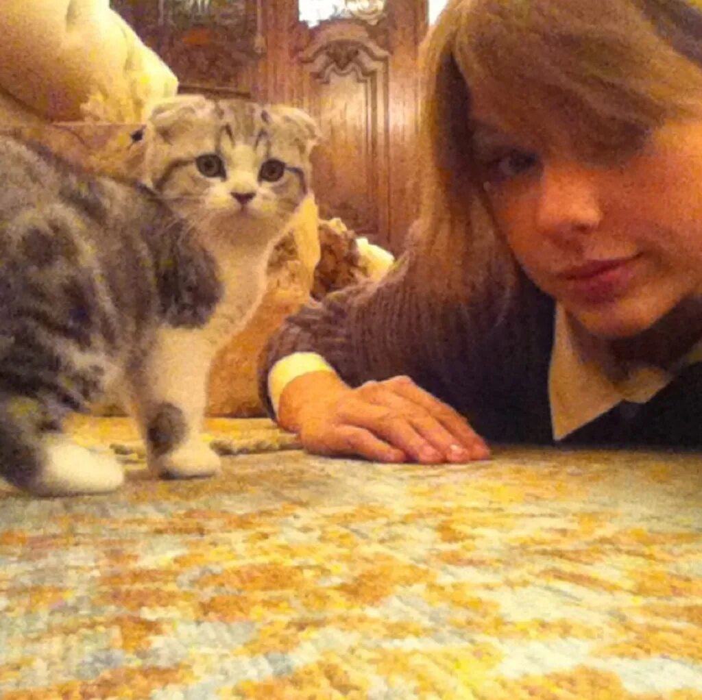 Кошка тейлор. Тейлор Свифт и Мередит. Тейлор Свифт Cats. Тейлор Свифт и ее кошка.