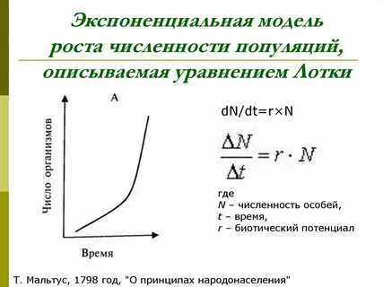 При увеличении численности популяции