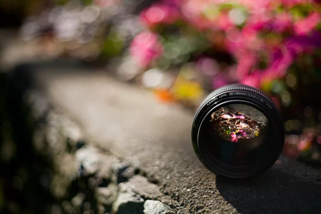 Фотография боке как сделать. Боке 50mm canon 1.8 ii. объектив walimex 85mm f/1.4 if canon ef. объектив meike 85mm f/1.8 canon ef. объектив walimex 50mm f/1.2 canon m.