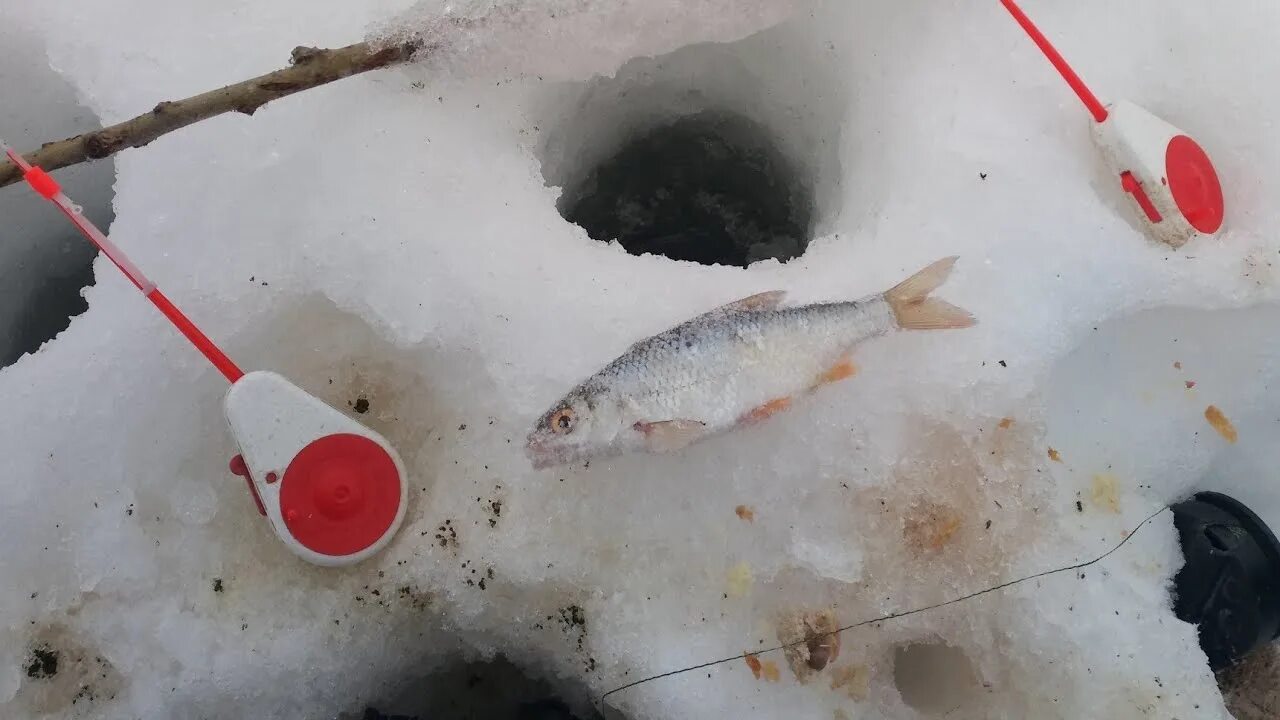 Рыбалка на безмотылку в глухозимье. Мормышка на окуня зимой в глухозимье. Глухозимье рыбалка. Глухозимье рыбалка. Зимняя рыбалка в глухозимье.