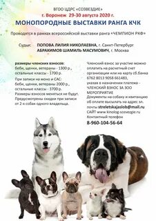 Открытый класс на выставке