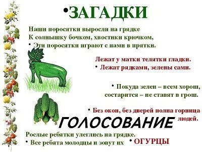 Наши поросятки выросли на грядке