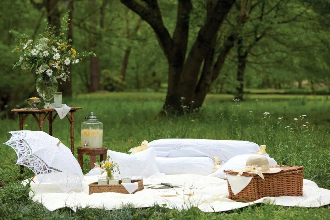 Белый пикник. Пикник на природе. Пикник в саду. Романтический пикник. Пикник в лесу Эстетика.