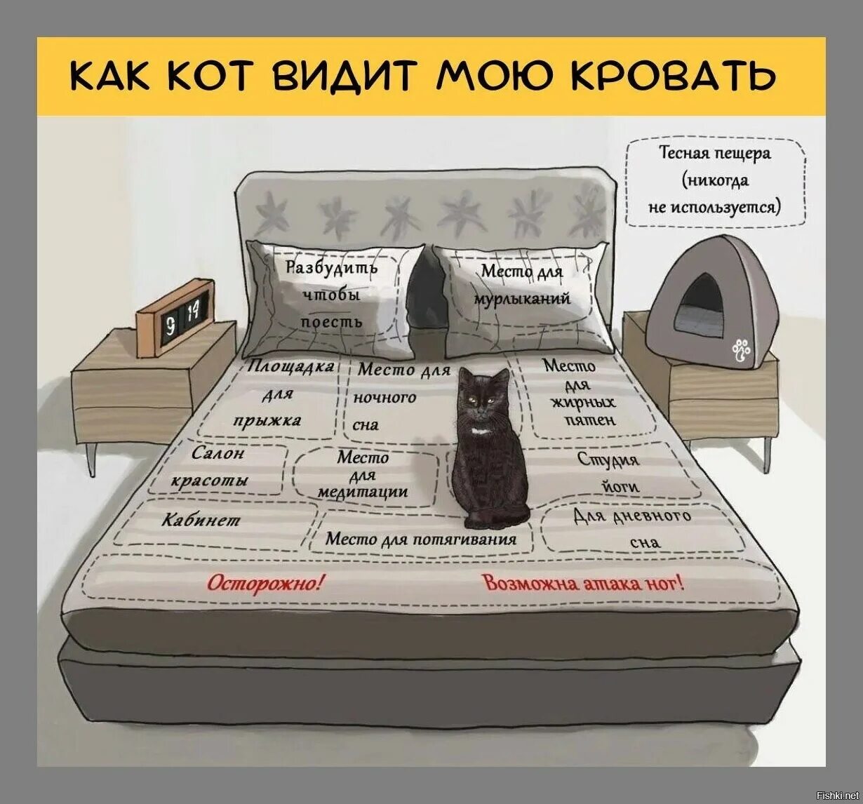 Иди ко мне фото. Кто спал на моей кровати и помял её. Прикольные кровати. Заправлять постель. Кровать юмор.