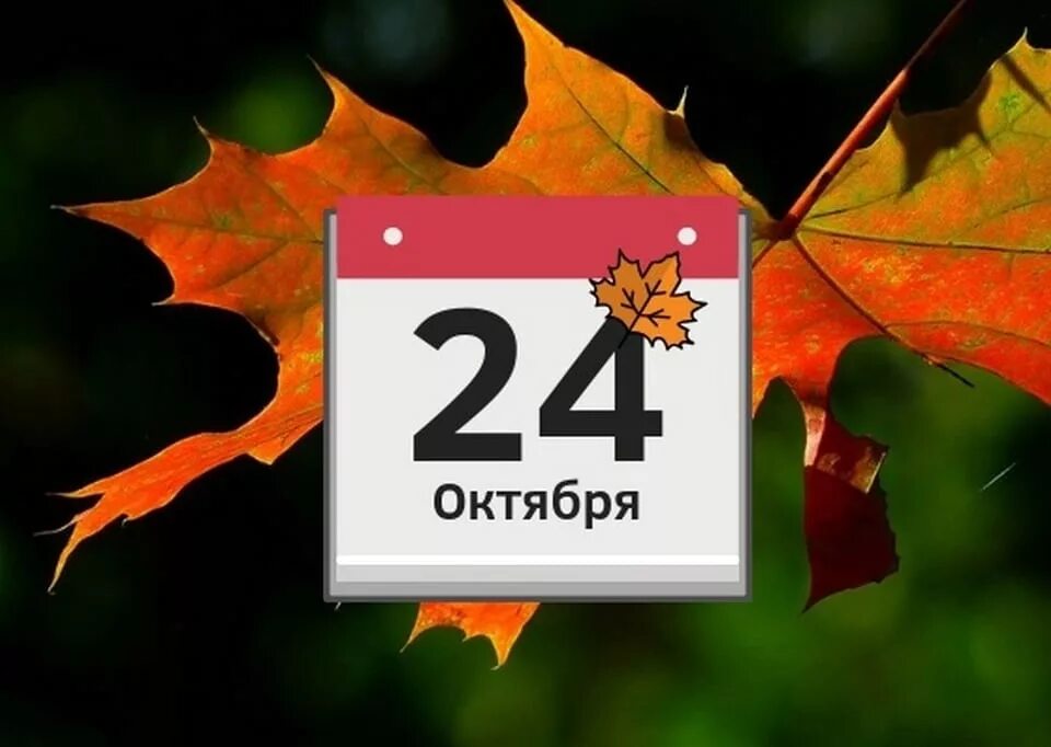 23 октября картинки. Лист календаря октябрь. 24 Октября календарь. 24 Октября картинки. 24 Октября надпись.