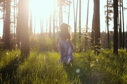 Прислушайтесь хорошенько стоя в лесу или среди