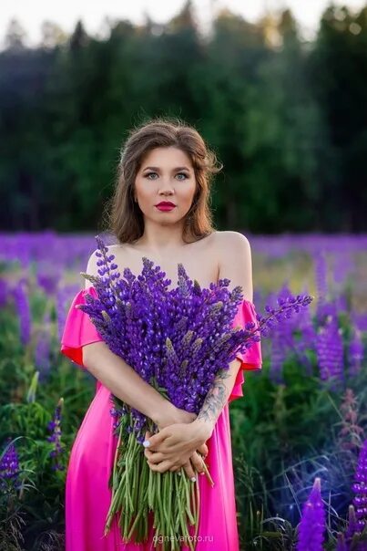 Цитаты про люпины