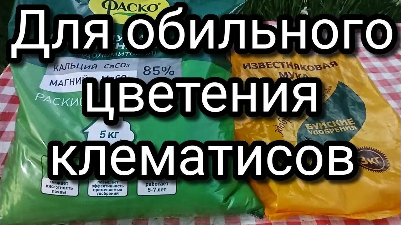Доломит грунт. Доломитовая мука при посадке томатов в открытый грунт рассадой. Мука известняковая доломитовая 3кг. Доломитовая мука для помидор в теплице. Доломитовая мука 5 кг.