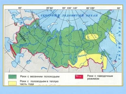 На суше преобладают