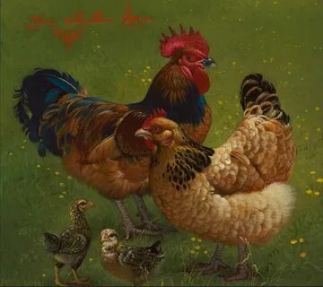 Two chickens