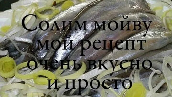 Как можно вкусно приготовить мойву. Как посолить мойву в домашних условиях вкусно. Хамса пряного посола. Мойва пряного посола в домашних. Мойва пряная слабосолёная.