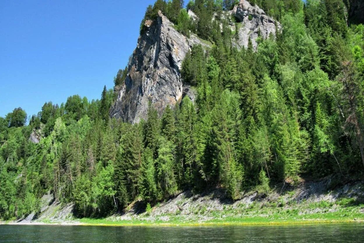 Кузбасс фото. Горная Шория. Река Мрассу Горная Шория. Кузбасс природа Горная Шория. Таштагол заповедник Горная Шория.