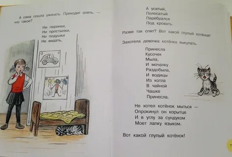 Усатый полосатый приют кемерово