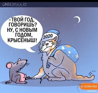 Крыса завтра