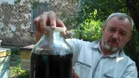 Настойка на пчелином подморе на самогоне
