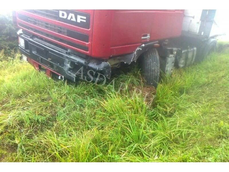 водитель новогрудок