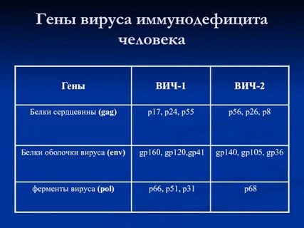 P24 вич 1