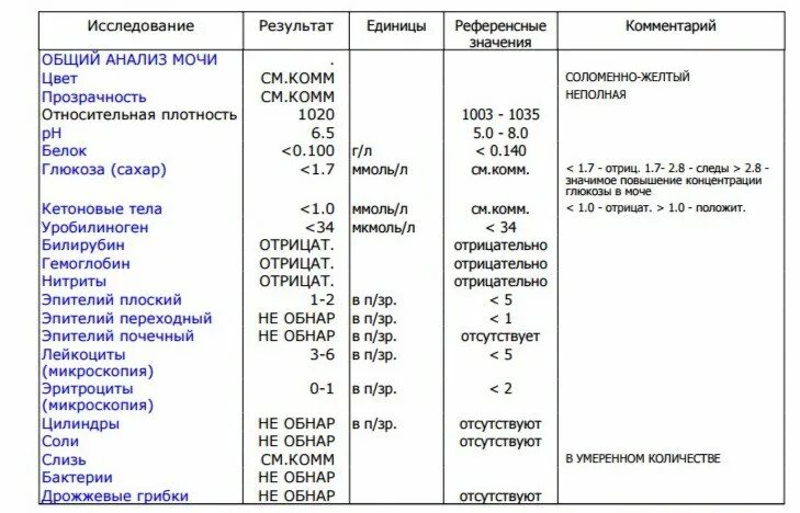 Моче слизь эритроциты