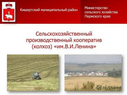Спк пермский край